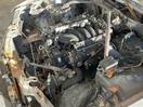 Thumbnail '9' of Honda Ascot