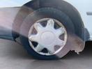 Thumbnail '8' of Toyota Corolla XL