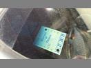 Thumbnail '6' of Toyota Corona SED MAN