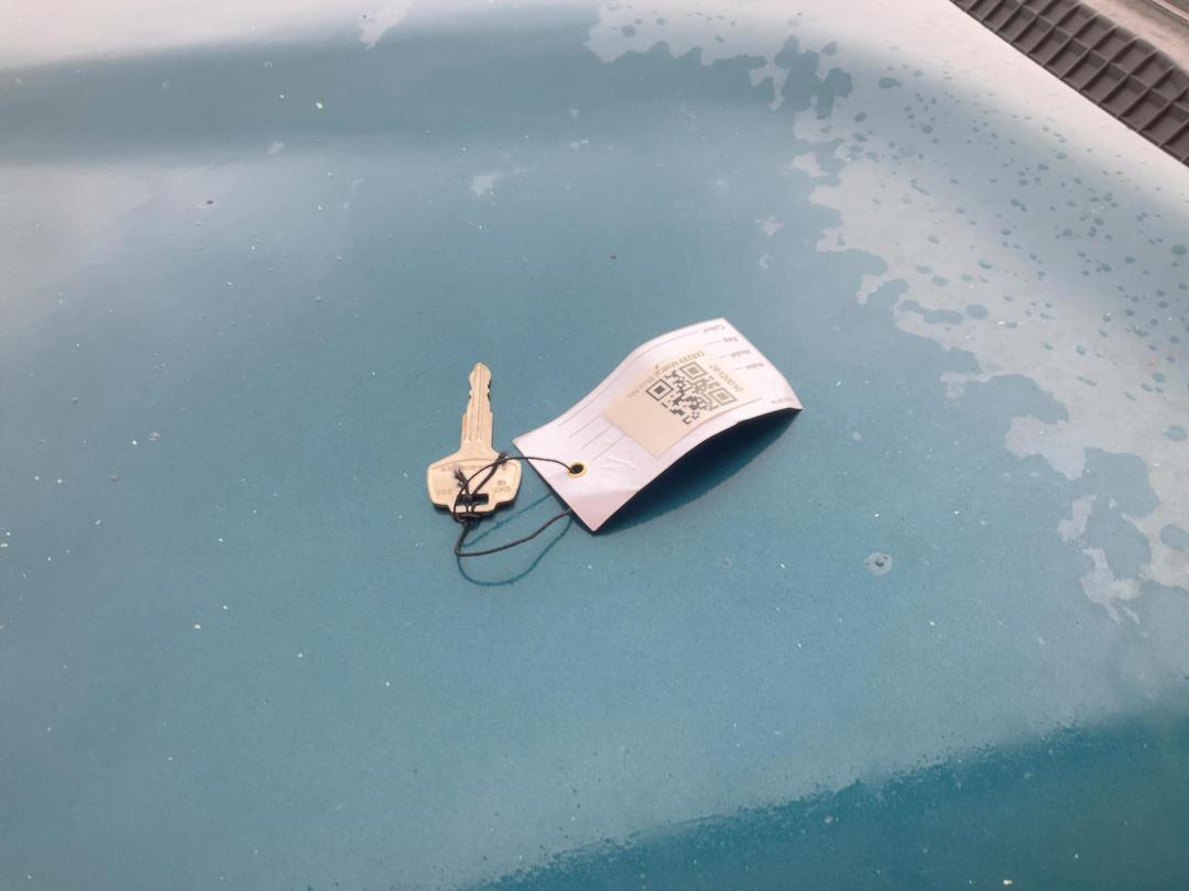 Photo '11' of Nissan Mistral