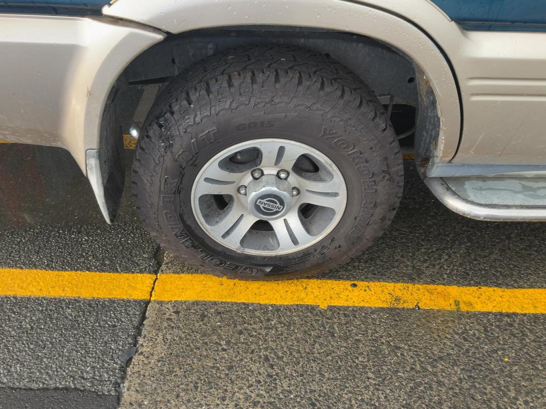 Photo '14' of Nissan Mistral