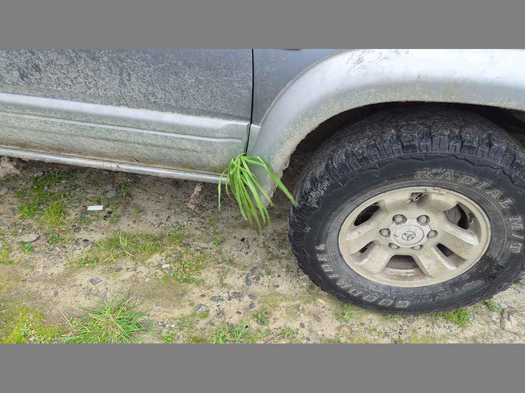 Photo '6' of Toyota Surf