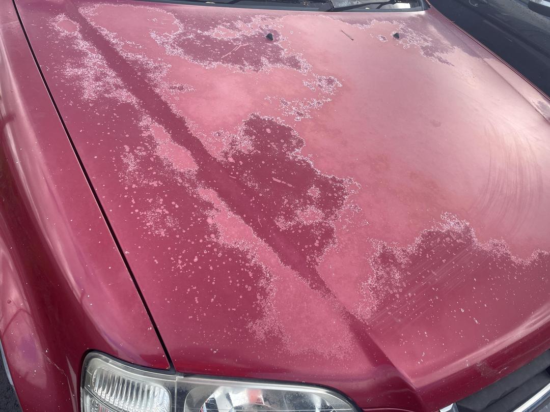 Photo '23' of Honda CRV