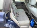 Thumbnail '16' of Subaru Forester C/20