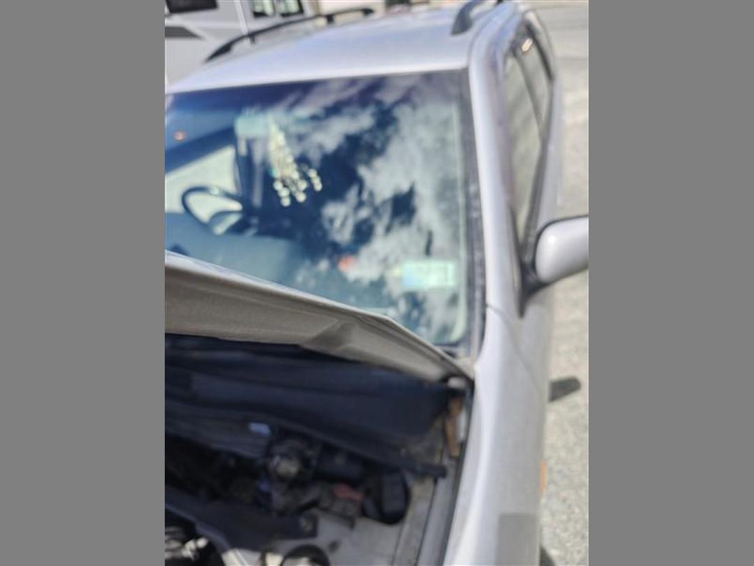 Photo '11' of Nissan Primera CVT