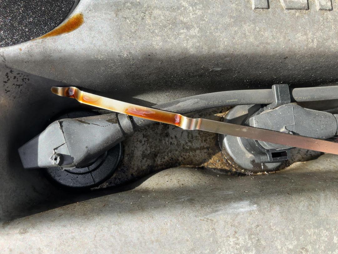 Photo '9' of Nissan Primera GXE