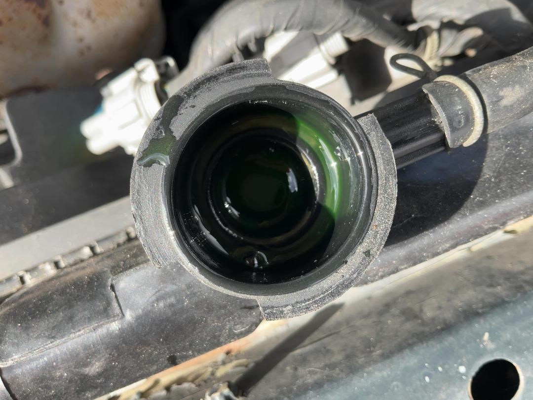 Photo '10' of Nissan Primera GXE