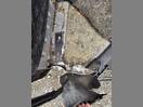 Thumbnail '37' of Toyota Hiace Super Custom