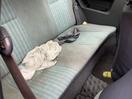 Thumbnail '19' of Toyota Tercel