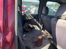 Thumbnail '14' of Ford Courier XLX Crew CAB TD