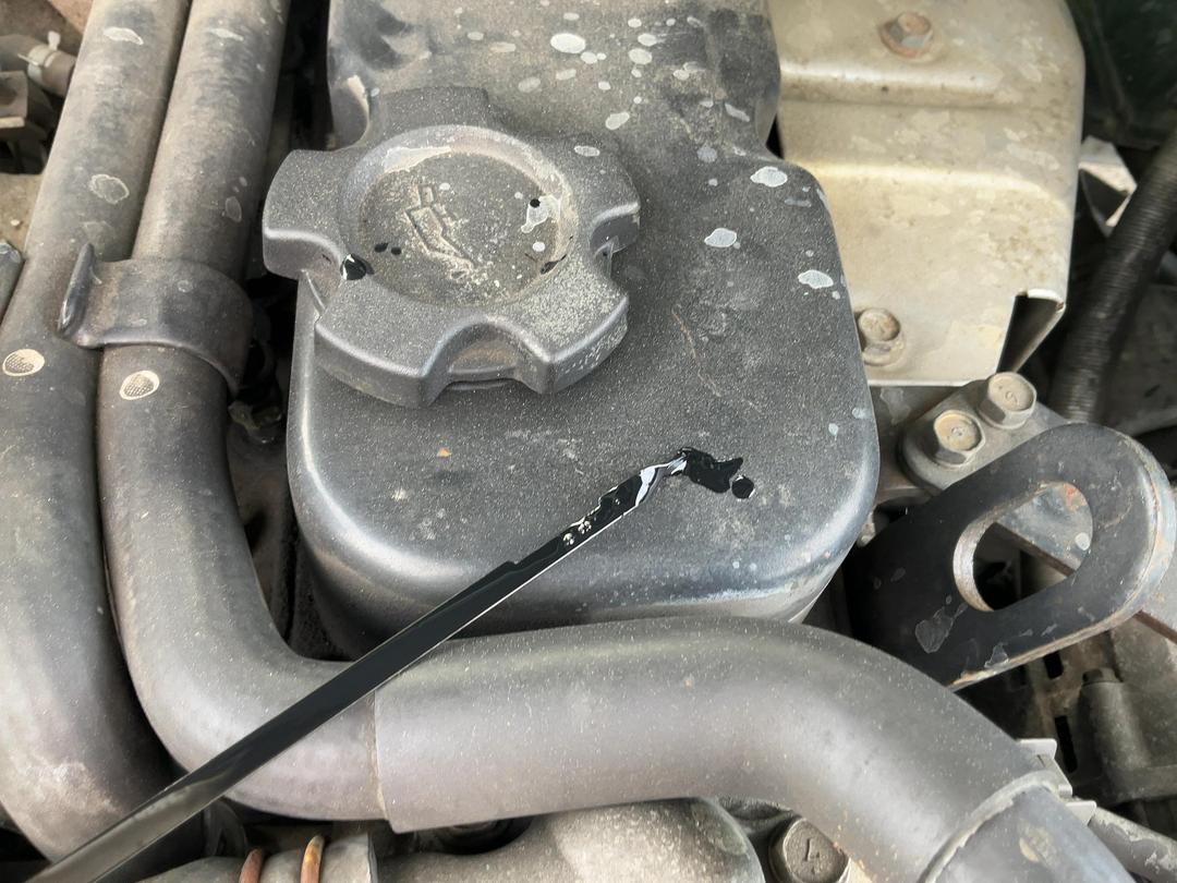 Photo '18' of Nissan Navara D/C Vent