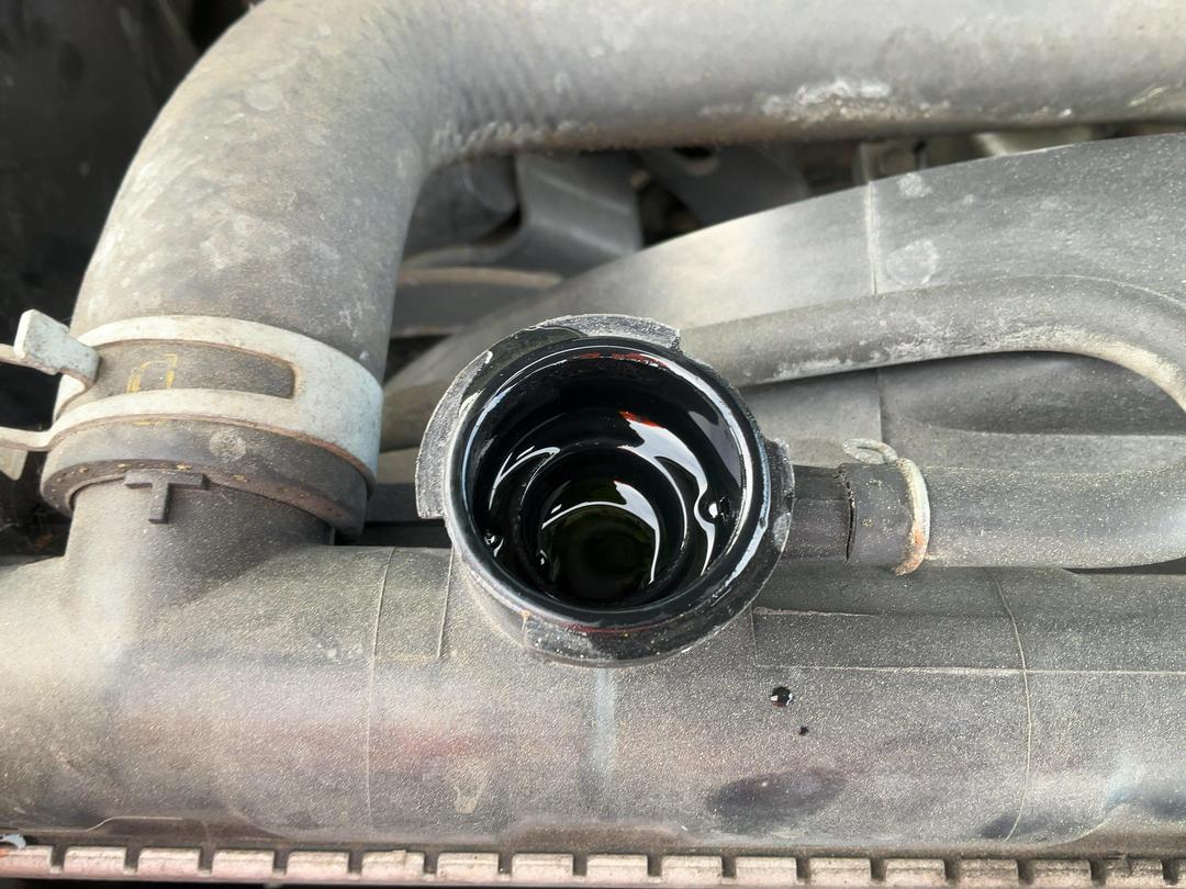 Photo '19' of Nissan Navara D/C Vent