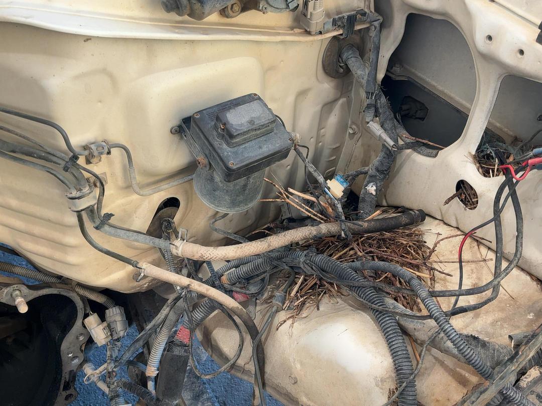 Photo '15' of Toyota Lancruiser Photo '15' of Toyota Lancruiser