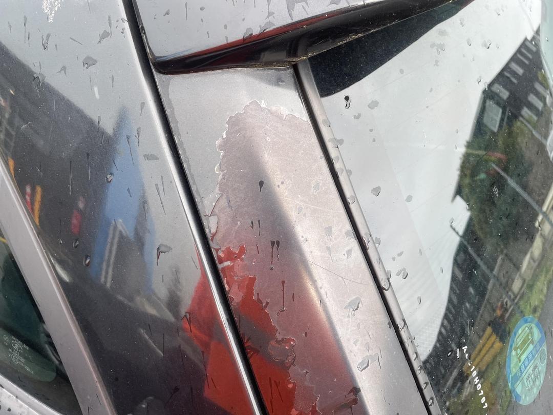 Photo '31' of Mazda Familia