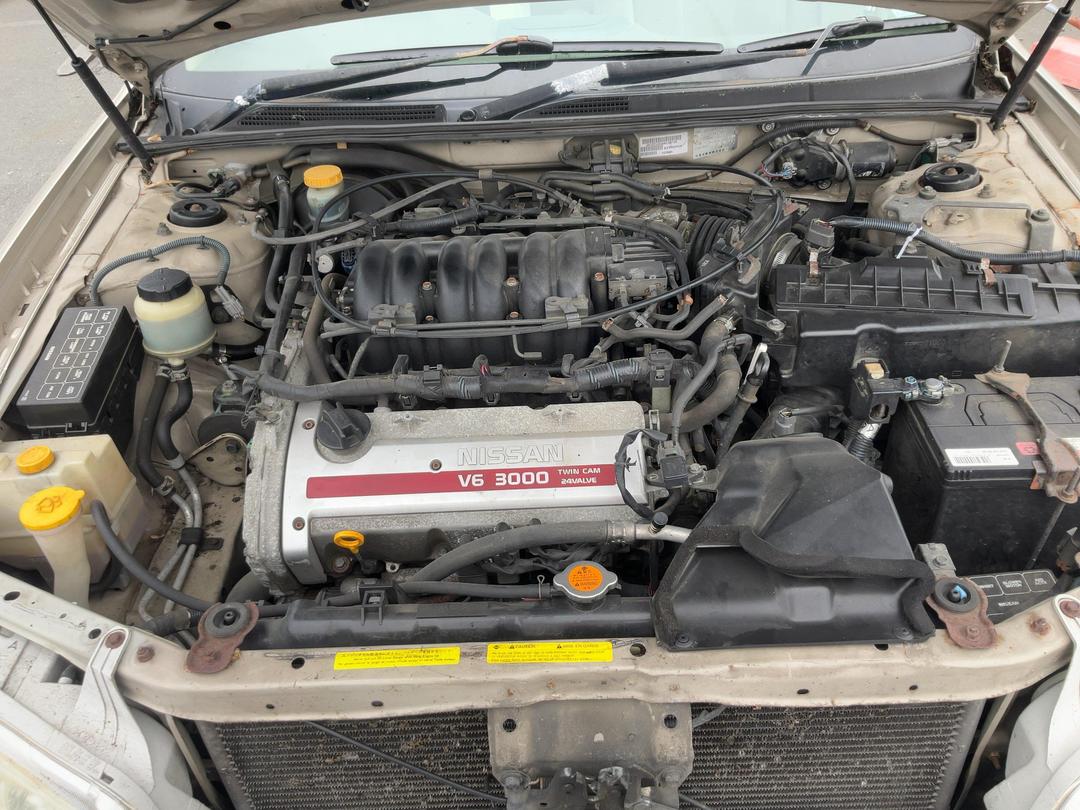 Photo '8' of Nissan Maxima TI Clth F/L