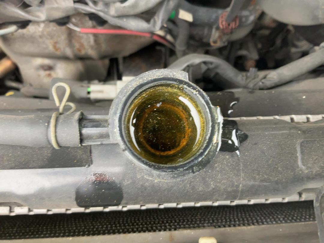 Photo '9' of Nissan Maxima TI Clth F/L