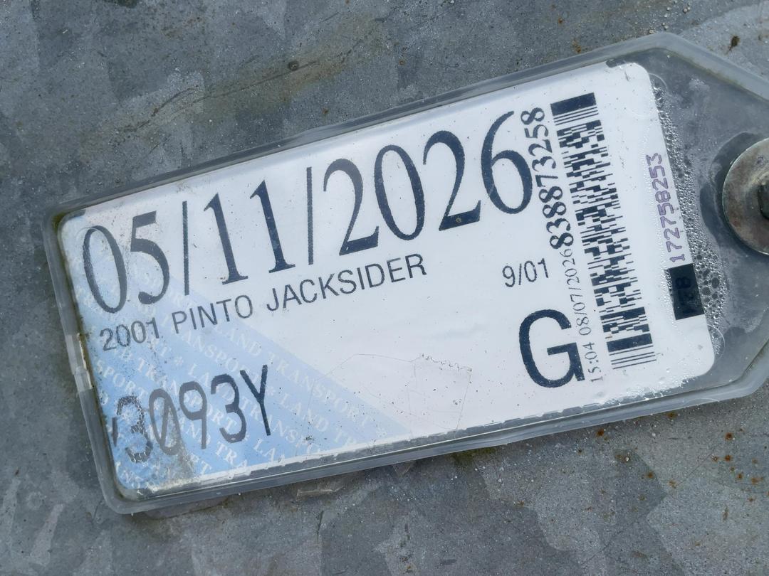 Photo '16' of PINTO JACKSIDER Flat Deck - Single