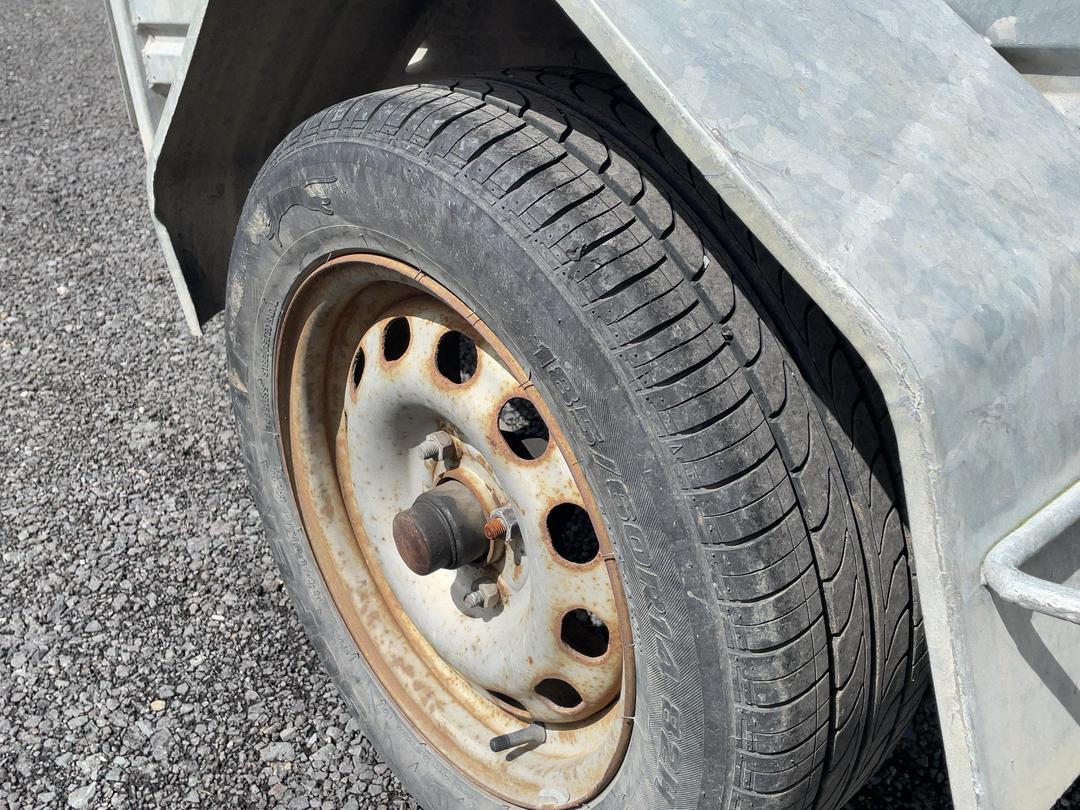 Photo '24' of PINTO JACKSIDER Flat Deck - Single