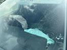 Thumbnail '11' of Toyota Corolla Allex