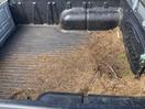 Thumbnail '14' of Ford Courier XLX Crew CAB