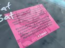 Thumbnail '17' of Toyota Ipsum