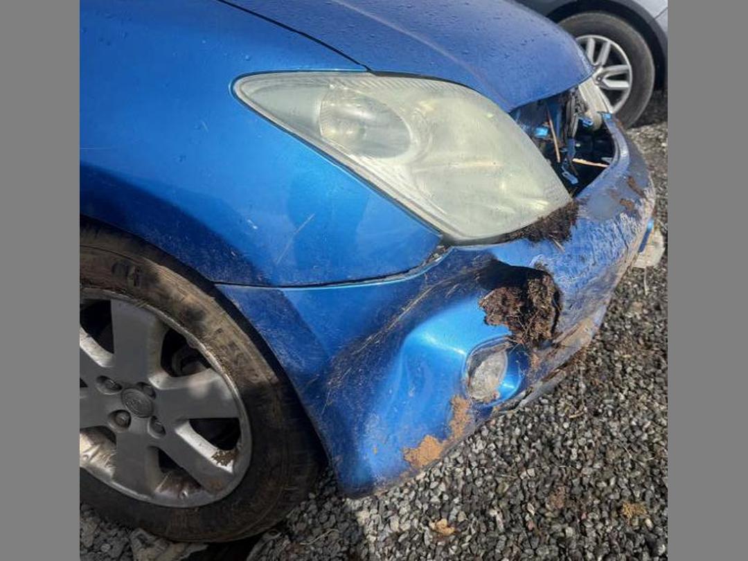 Photo '20' of Toyota IST Photo '20' of Toyota IST
