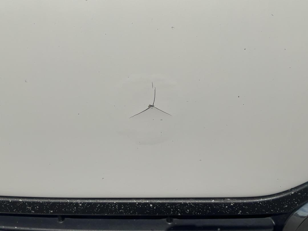 Photo '33' of Hino FD 1JLAG-HAU Curtainsider