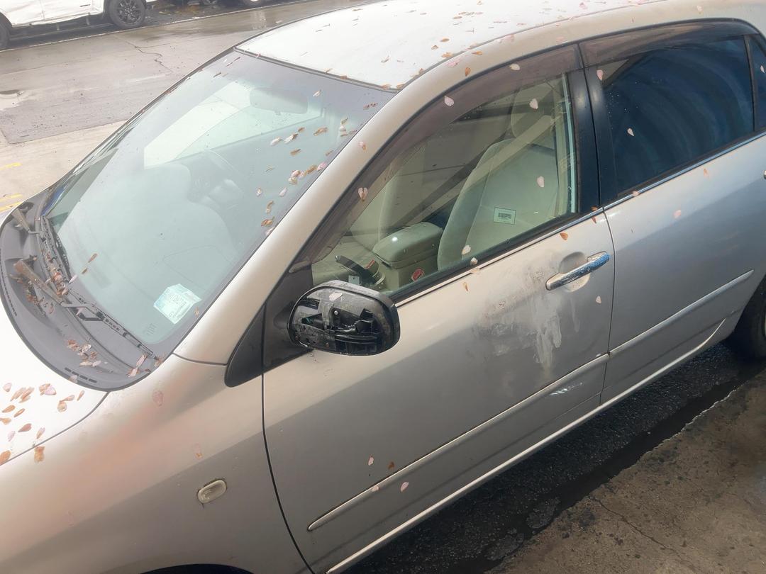 Photo '7' of Toyota Allex