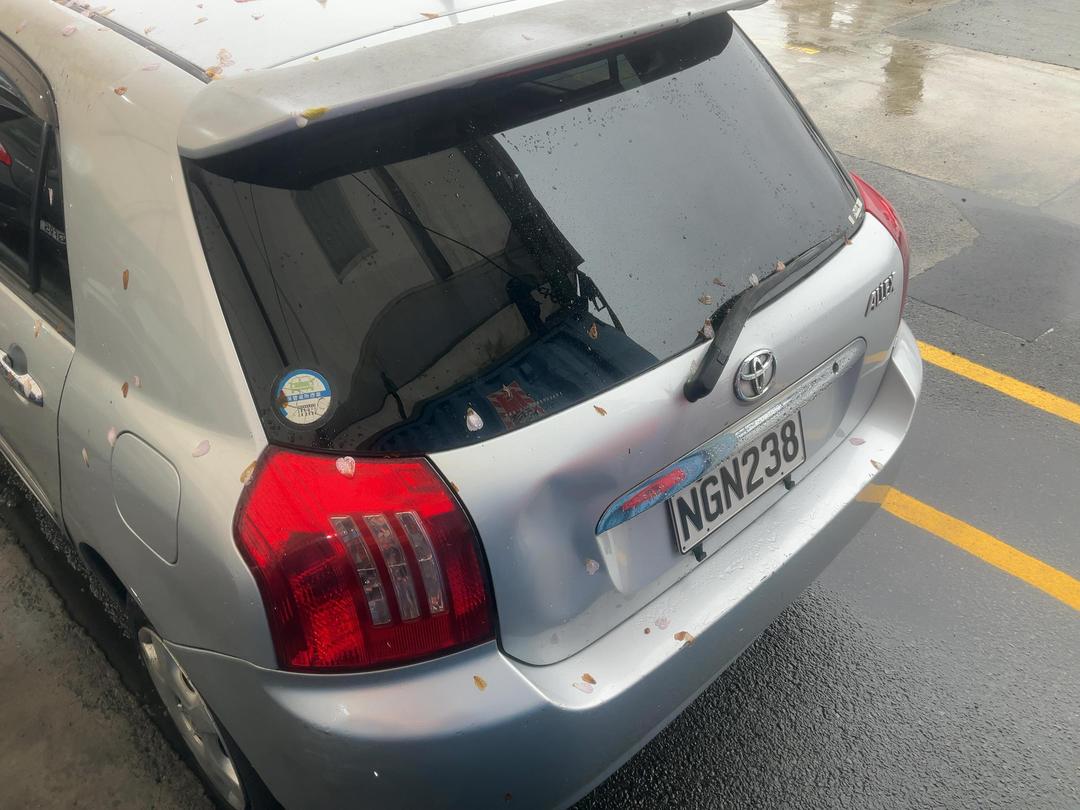 Photo '10' of Toyota Allex