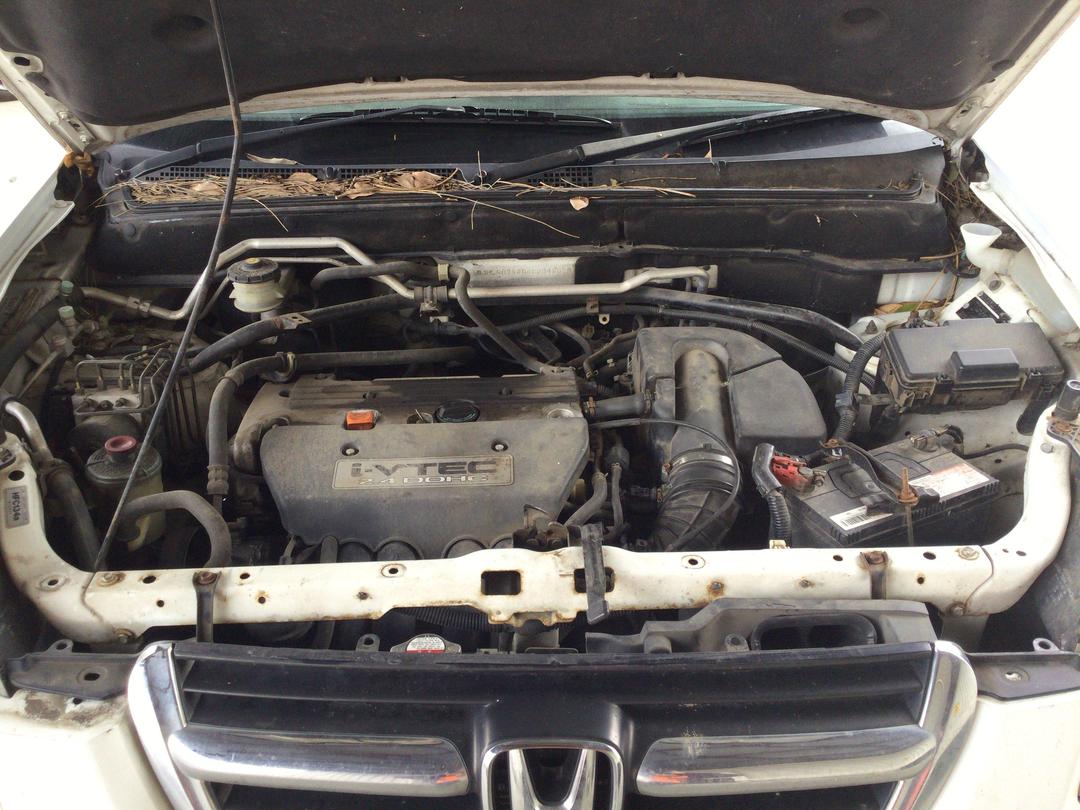 Photo '15' of Honda CRV RVI WAG Photo '15' of Honda CRV RVI WAG