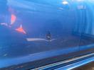 Thumbnail '23' of Mazda Axela