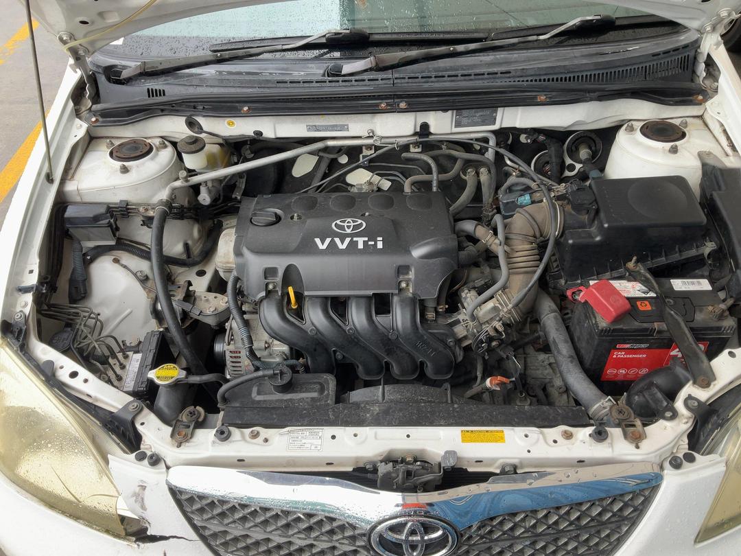 Photo '13' of Toyota Corolla Runx