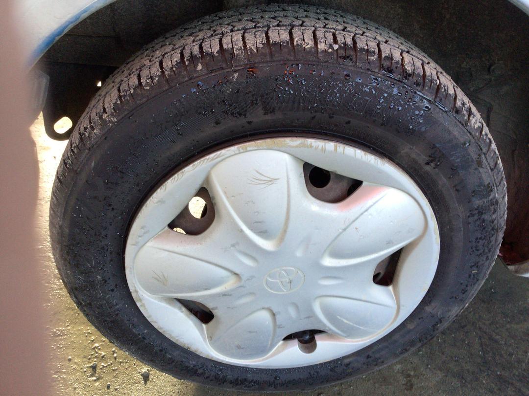 Photo '10' of Toyota Echo
