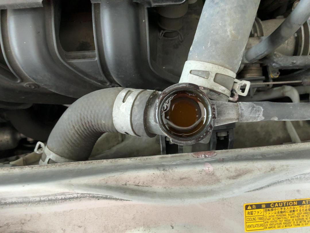 Photo '25' of Toyota IST