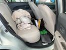 Thumbnail '17' of Toyota Passo