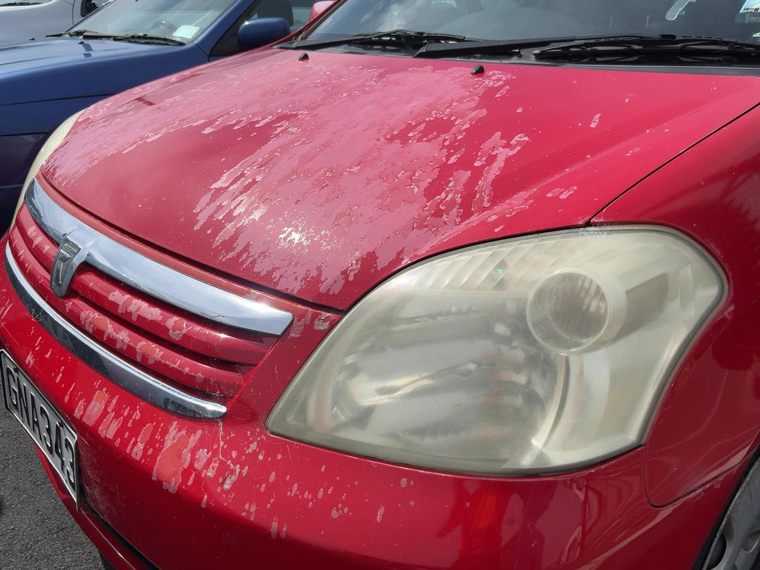 Photo '21' of Toyota Raum