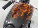 Thumbnail '14' of Custombuilt FXR PRO STREET