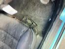 Thumbnail '12' of Ford Falcon UTE BA XR6 Pick UP FA