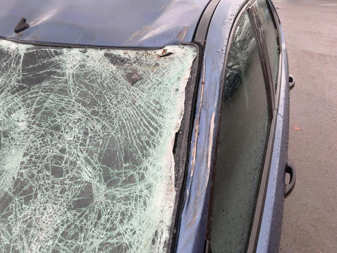 Photo '10' of Ford Focus