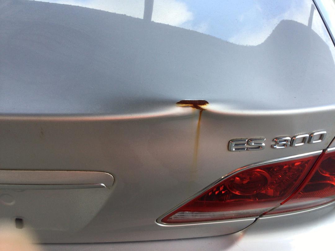 Photo '19' of Lexus Es300