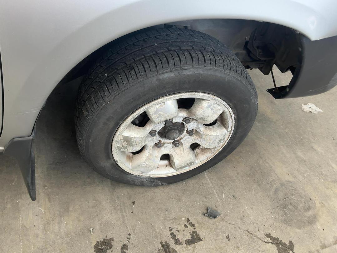 Photo '13' of Nissan Navara S/C W/S