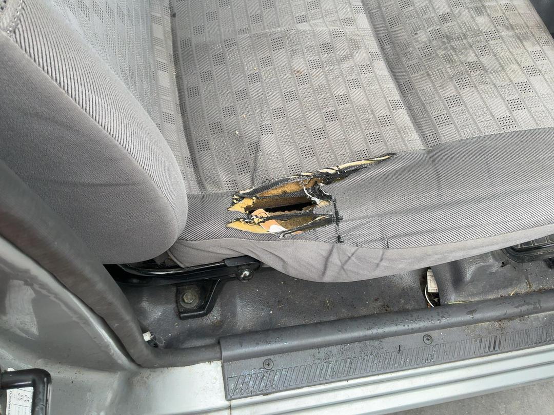 Photo '21' of Nissan Navara S/C W/S