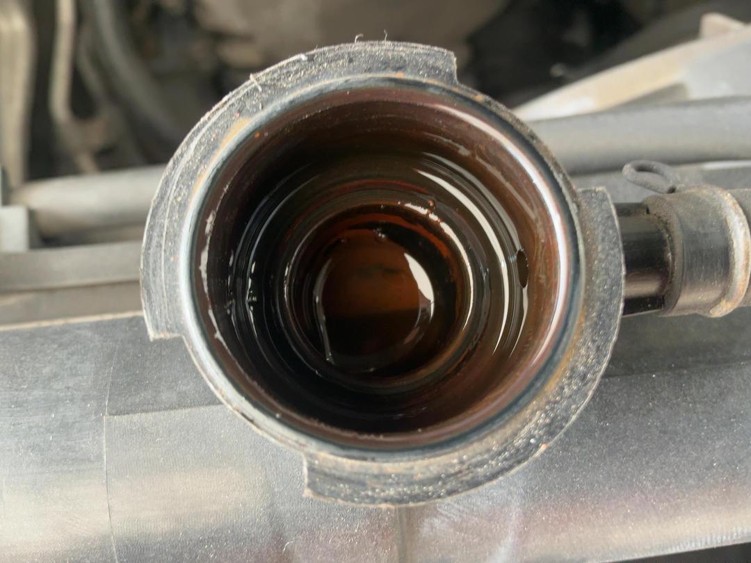 Photo '28' of Nissan Navara S/C W/S