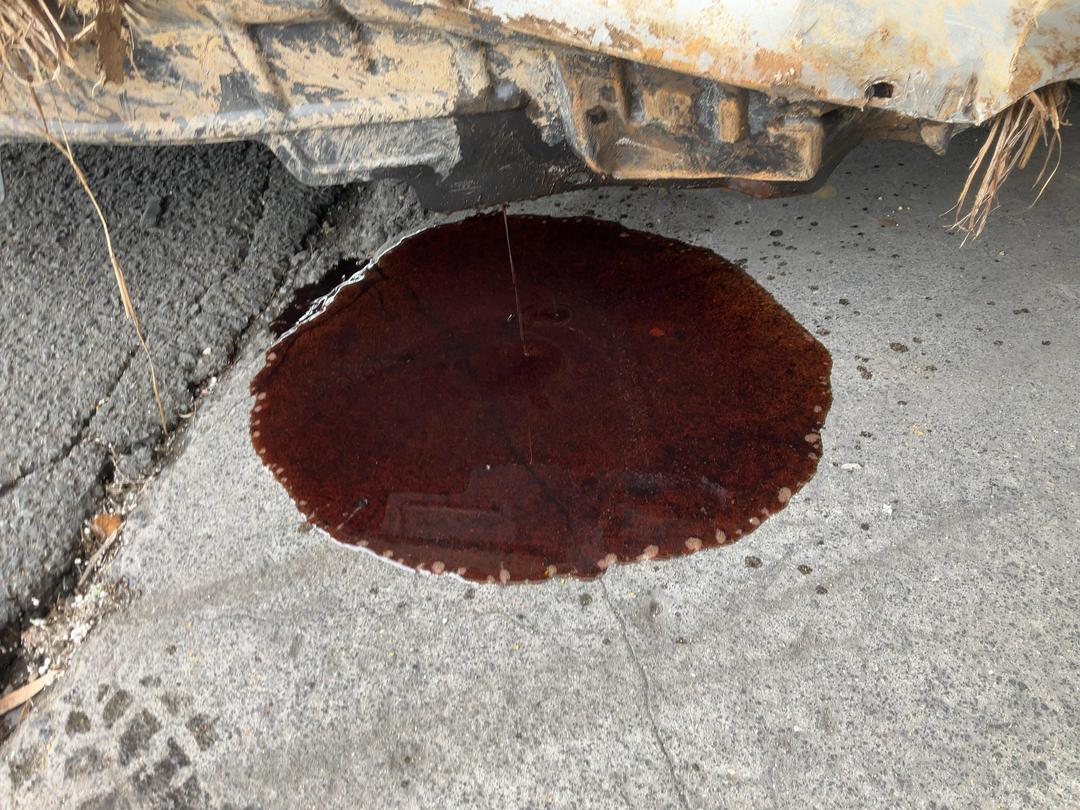 Photo '13' of Nissan Primera TI LTH