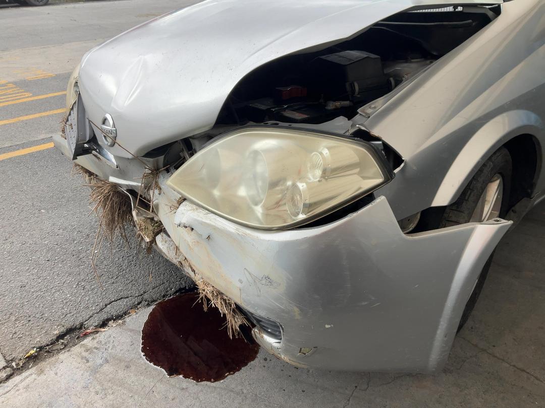 Photo '21' of Nissan Primera TI LTH