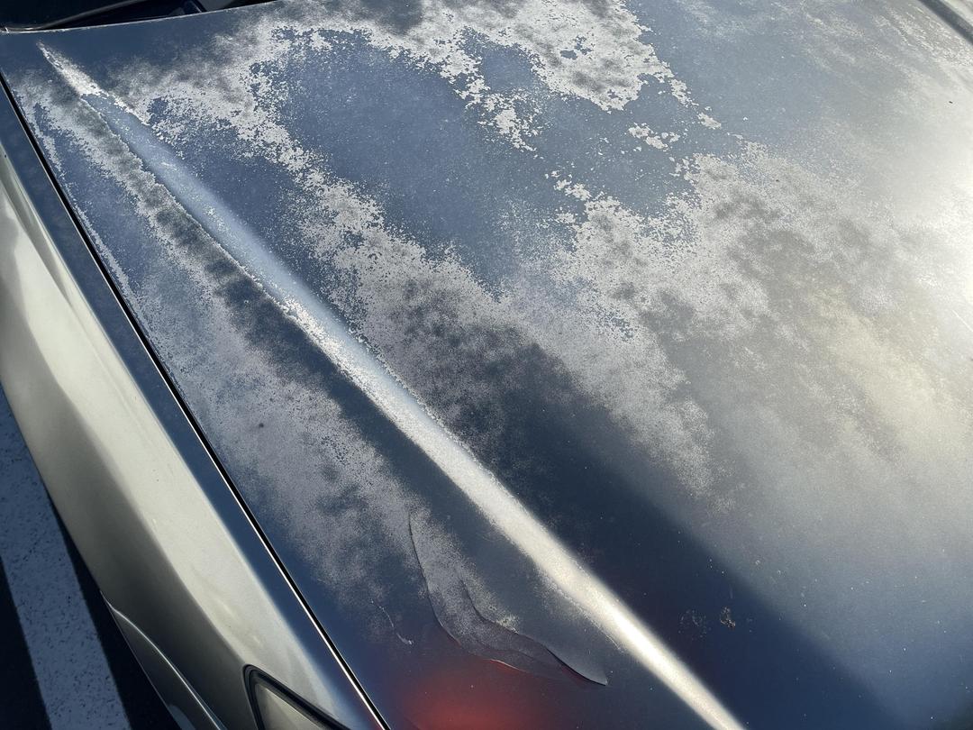 Photo '20' of Subaru Legacy