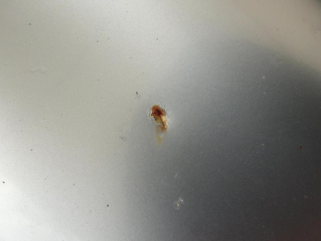 Photo '21' of Honda Odyssey VTI