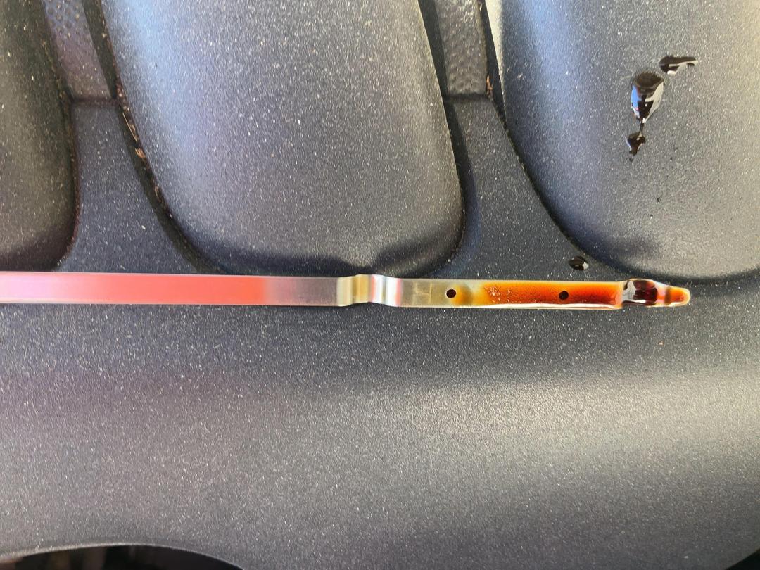 Photo '11' of Nissan Bluebird Sylphy