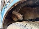 Thumbnail '3' of Nissan Navara