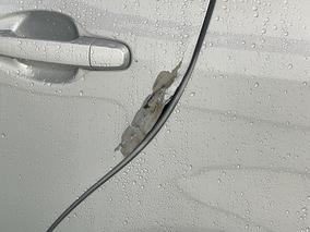 Photo '27' of Toyota Avensis